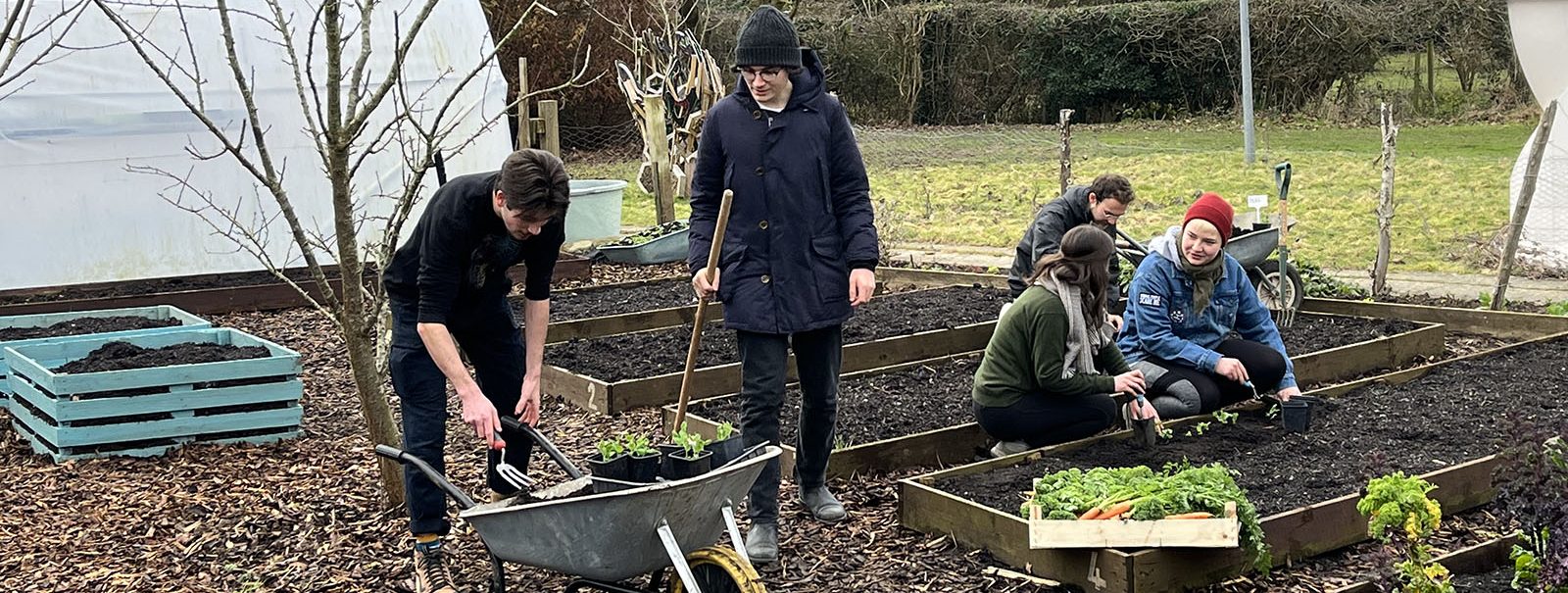 KentCOG Feb2023.07 wide crop A group of people wearing coats and hats are working at the Kent Community Oasis Garden. Three people are planting seedlings at a raised bed and two others are removing plants from a wheelbarrow